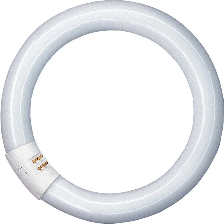 Osram Lumilux T9 Cirkelrør 22W 840 G10Q