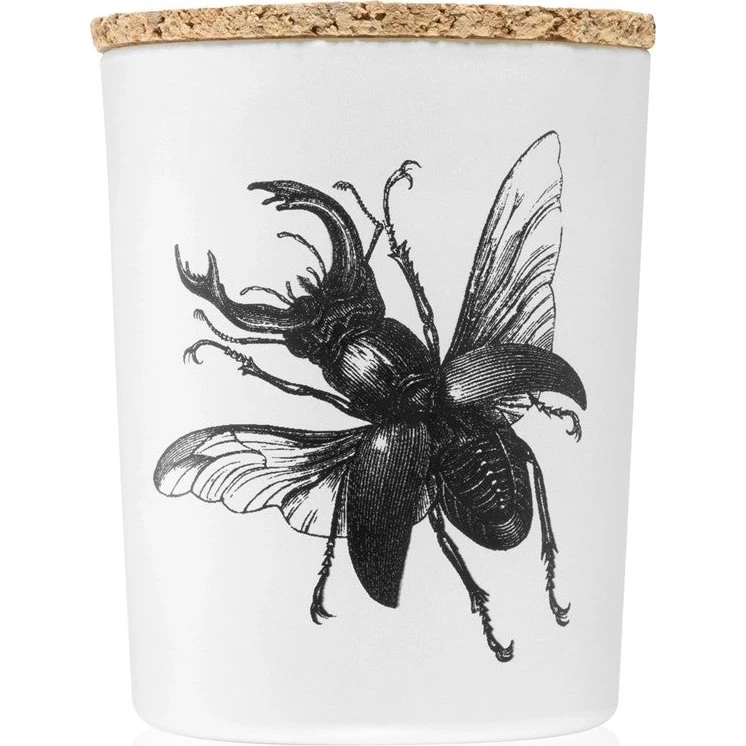 Vila Hermanos Insekt Lucanus Cervus Duftlys 75 g