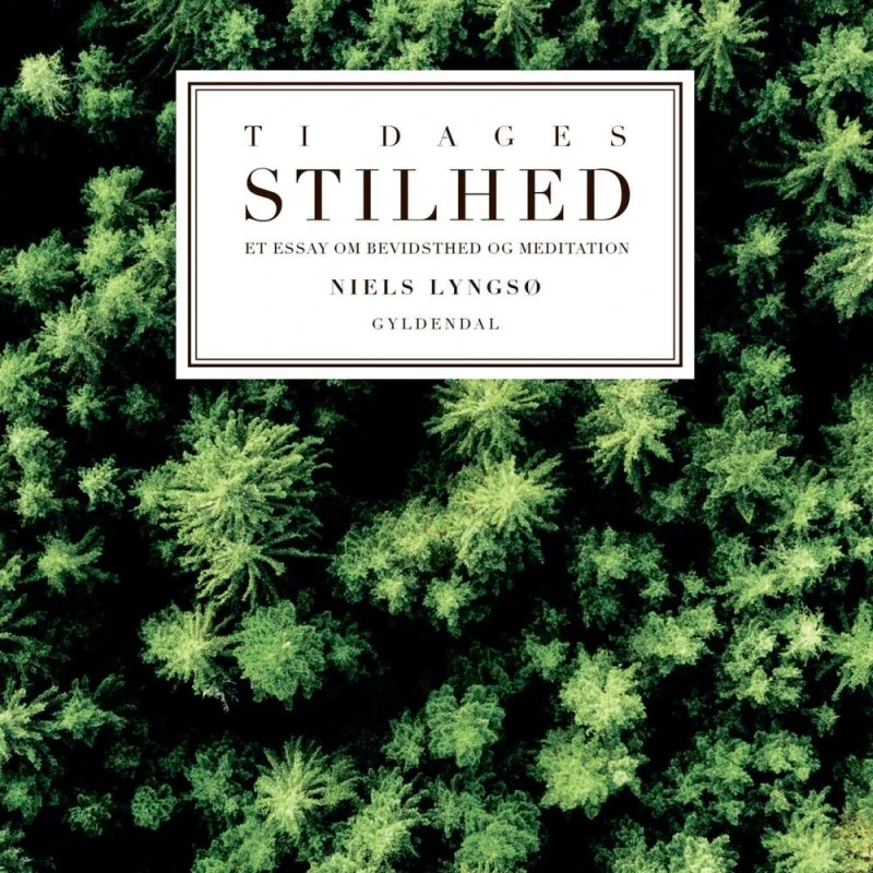 Ti dages stilhed - Niels Lyngsø (Lydbog)