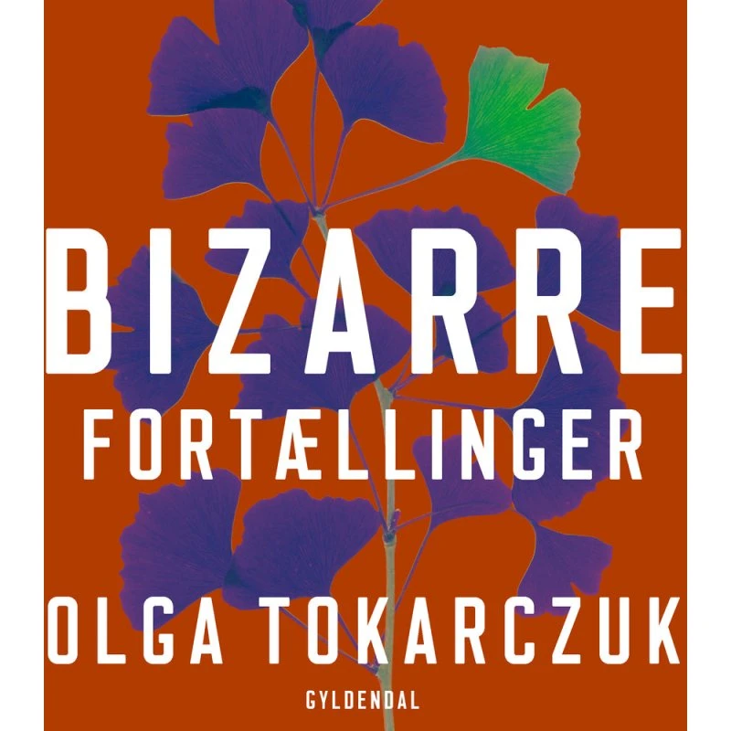 Bizarre fortællinger - Olga Tokarczuk