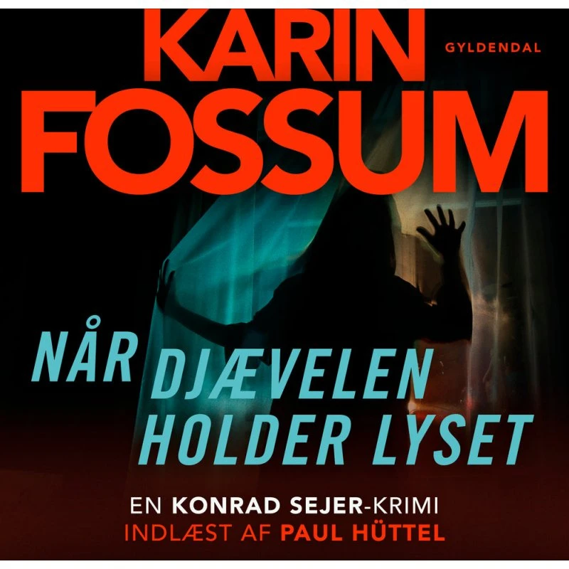 Når djævelen holder lyset - Karin Fossum