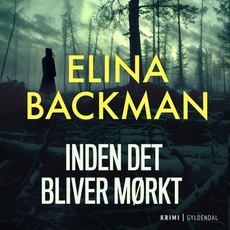 Inden det bliver mørkt - Elina Backman (Lydbog)