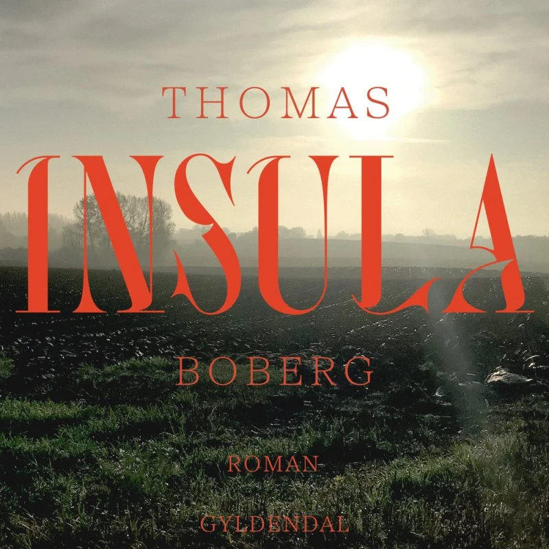 Insula - Thomas Boberg (Lydbog)