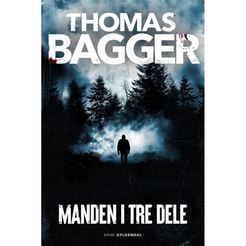 Manden i tre dele - Thomas Bagger (Lydbog)