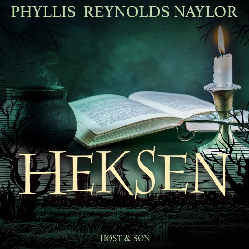 Heksen - Phyllis Reynolds Naylor (Lydbog)