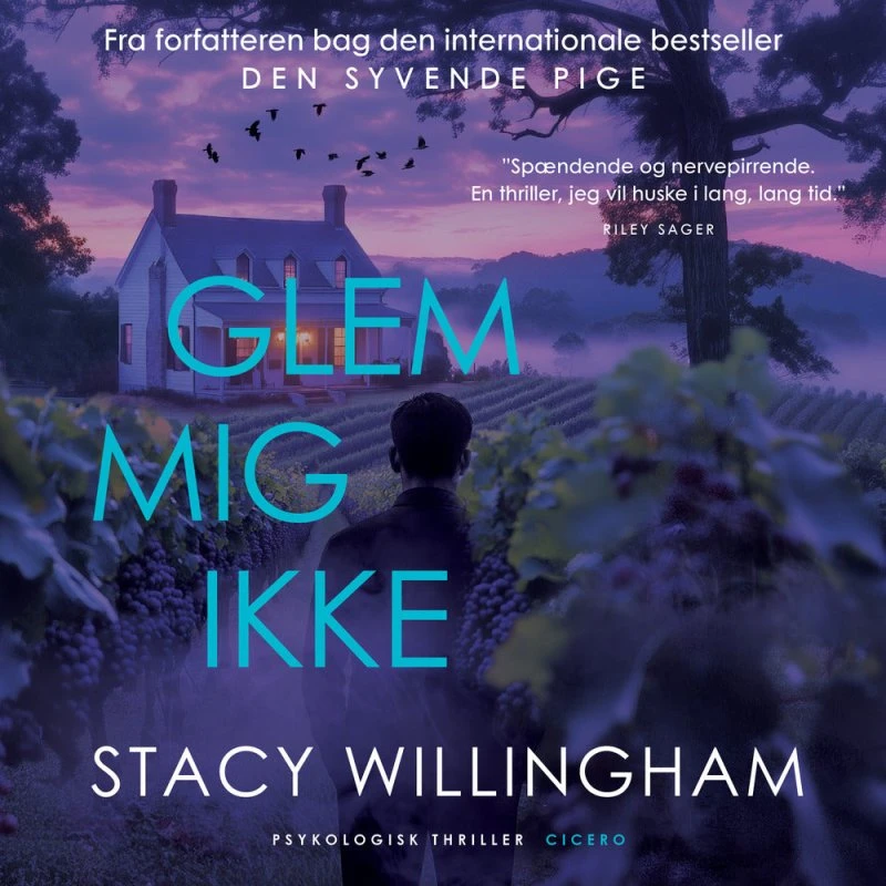 Glem mig ikke - Stacy Willingham (Lydbog)