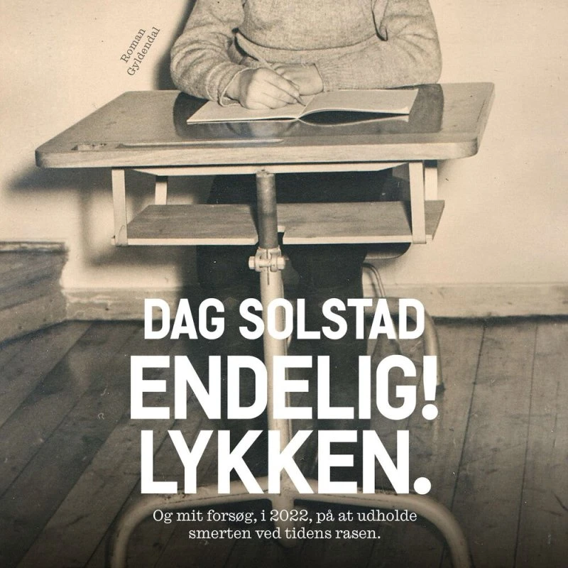 Endelig! Lykken - Dag Solstad