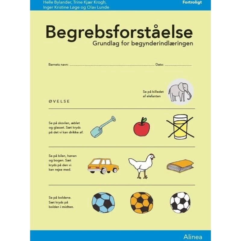 Begrebsforståelse, skema (10 stk) - Helle Bylander & Trine Kjær Krogh
