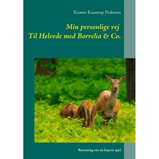 Min personlige vej til helvede med Borrelia & Co. - Kirsten Kaastrup Pedersen