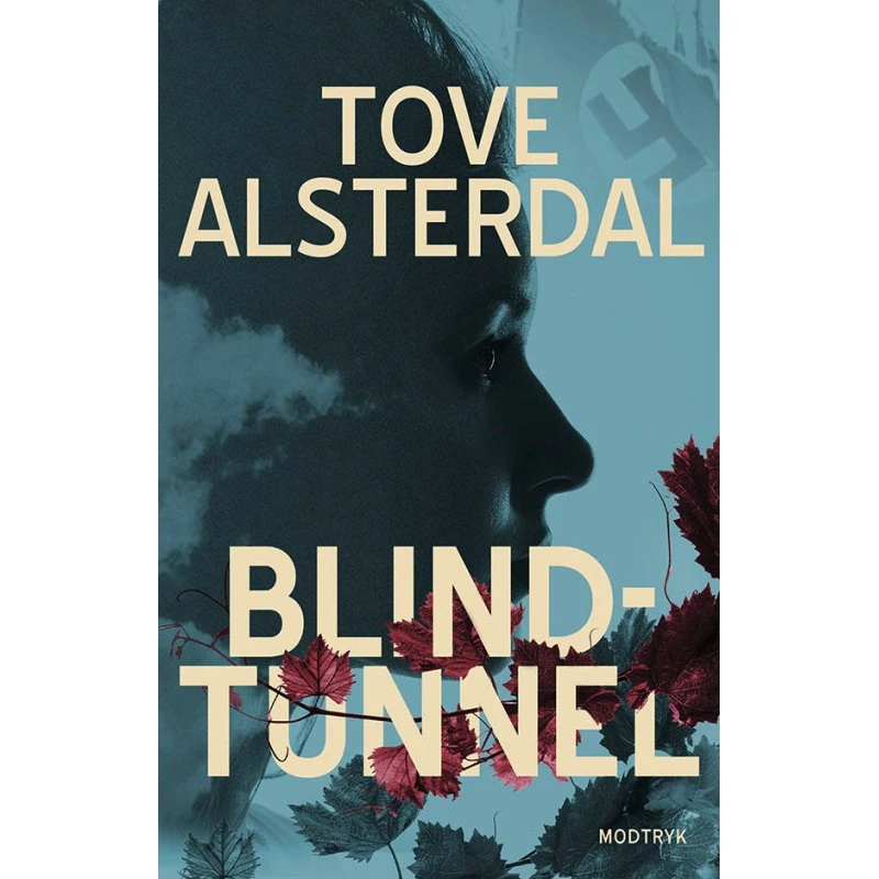 Blindtunnel - Tove Alsterdal