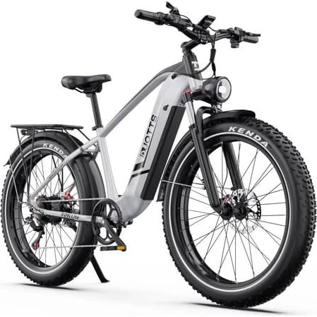 DUOTTS F26 Lite E-Bike 750W 48V18AH 26" Fat Tire Mountain Bike