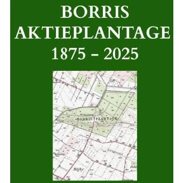 Borris Aktieplantage - Birgitte Rahbek Jensen