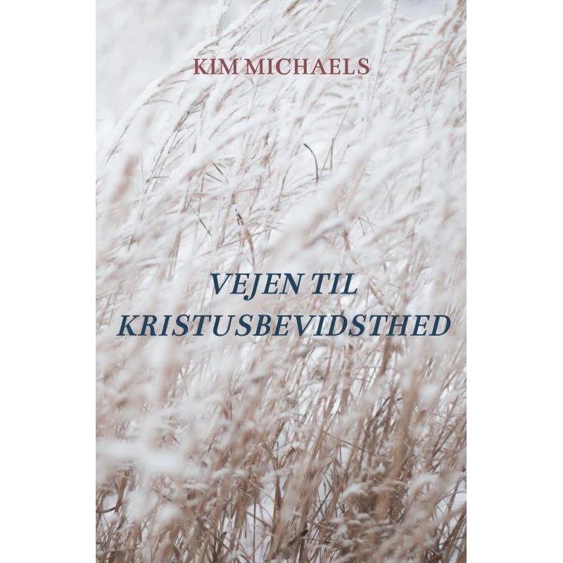 Kim Michaels: Vejen til Kristusbevidsthed