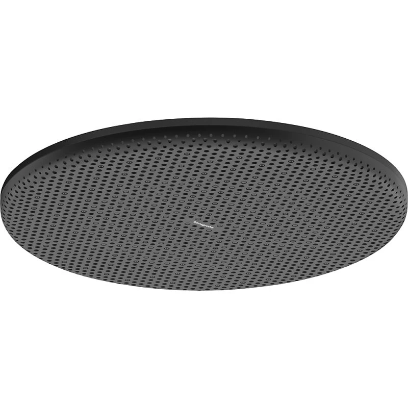 Hansgrohe Raindance Alive S 300 Hovedbruser - Mat Sort