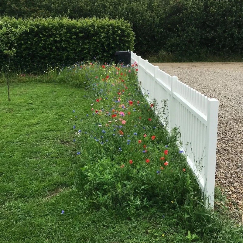 Barenbrug Robust blomsterblanding 1 kg