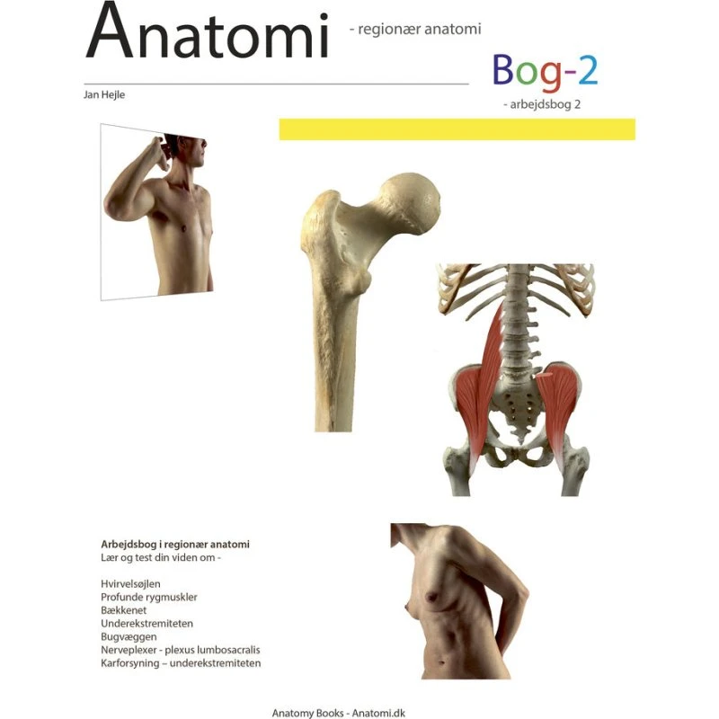 Anatomi - Bog 2: Arbejdsbog om bevægeapparatet af Jan Hejle