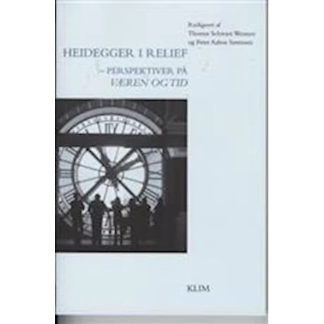 Heidegger i relief - Thomas Schwarz Wentzer