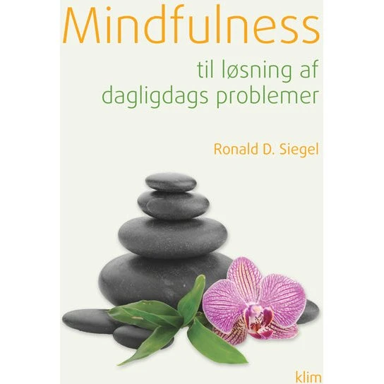 Mindfulness til løsning af dagligdags problemer - Ronald D. Siegel