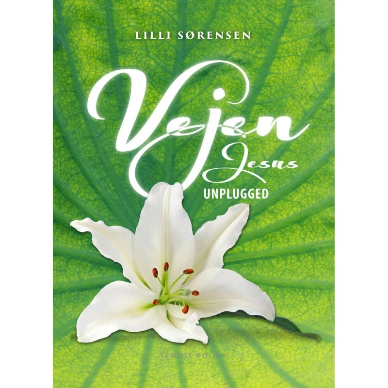 Vejen - Lilli Sørensen