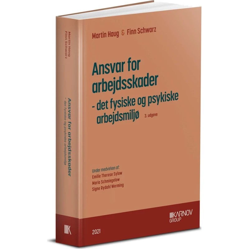 Ansvar for arbejdsskader - det fysiske og psykiske arbejdsmiljø