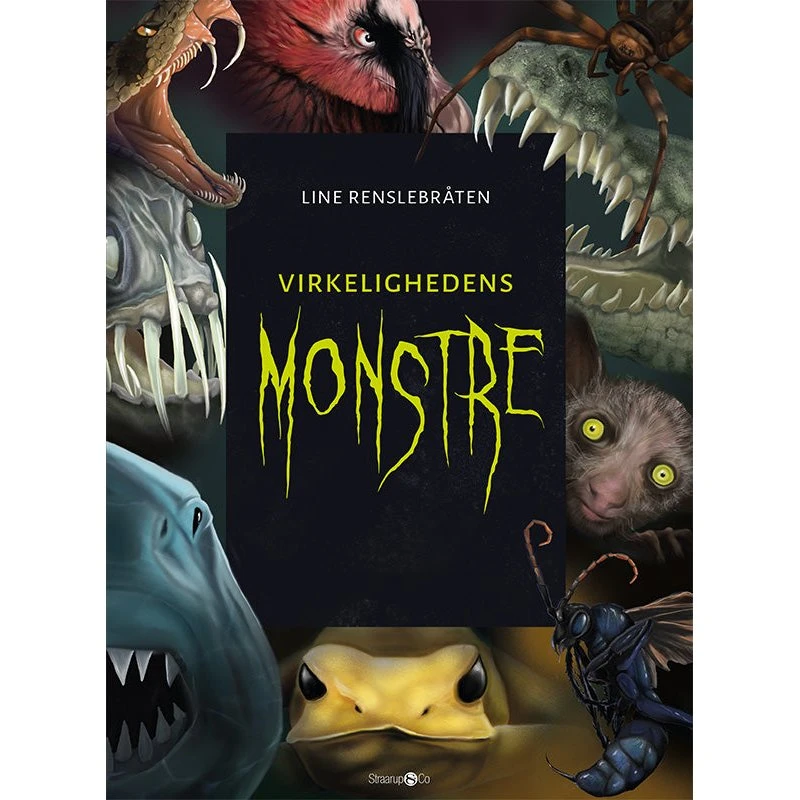 Virkelighedens monstre - Line Renslebråten