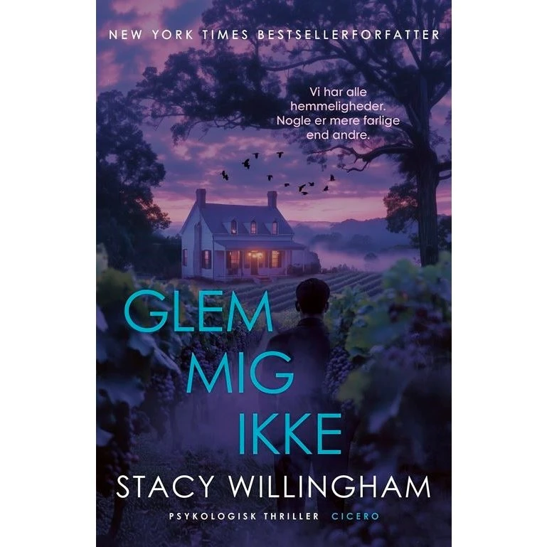 Glem mig ikke - Stacy Willingham