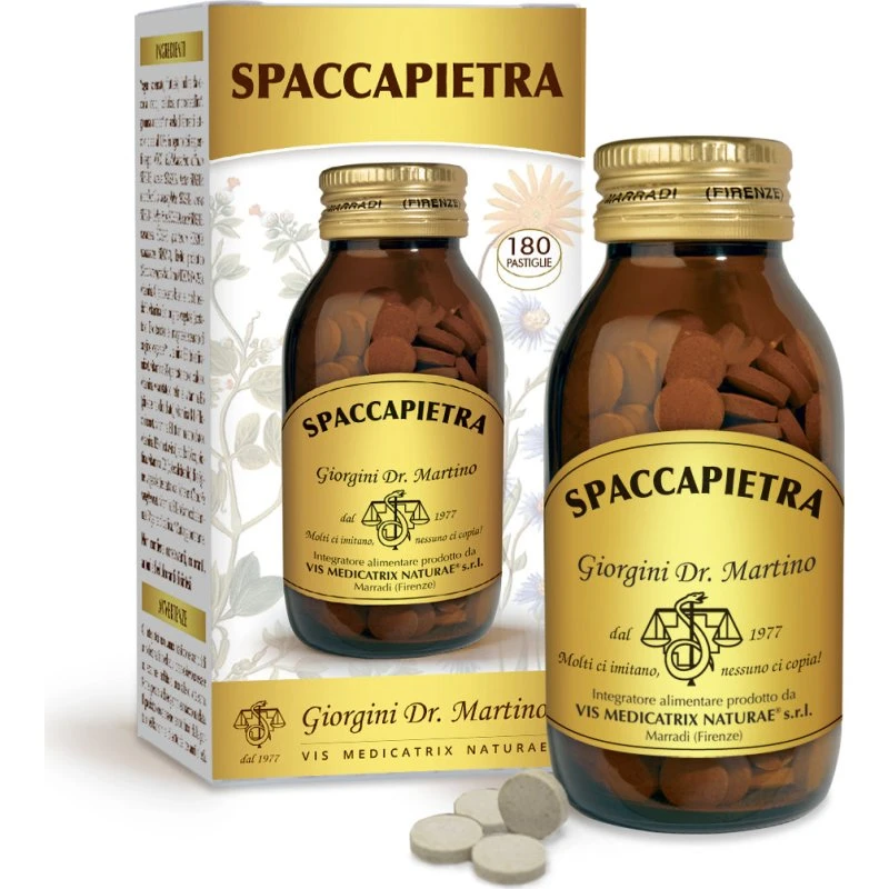 Dr Giorgini Spaccapietra 500 mg Tabletter, 90 g
