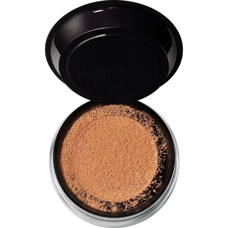 MAC Studio Fix Pro Set + Blur Weightless Loose Powder - Dark