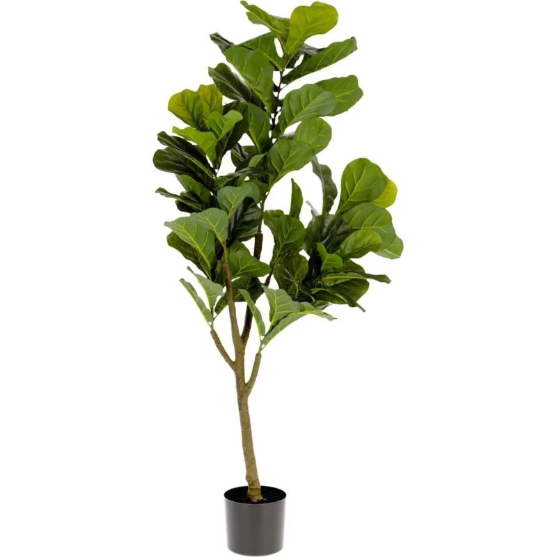 Kave Home Ficus kunstig plante - 150x60 cm grøn/sort