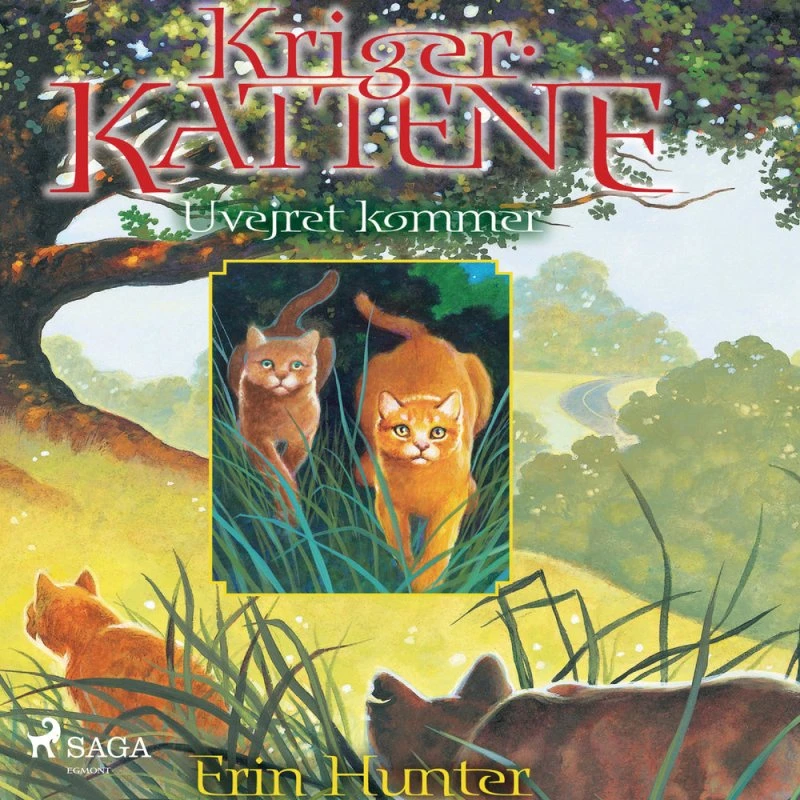 Krigerkattene 4: Uvejret kommer - Erin Hunter