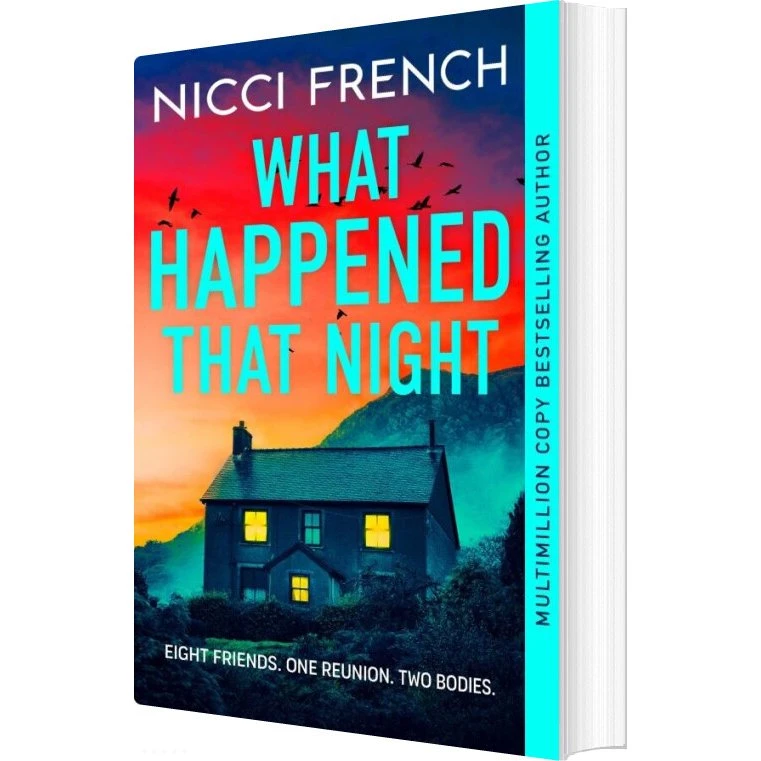 What Happened That Night - Nicci French - Krimi og spænding