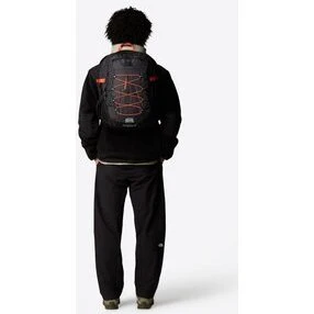 The North Face Borealis Classic 29L Summit Gold/TNF Black