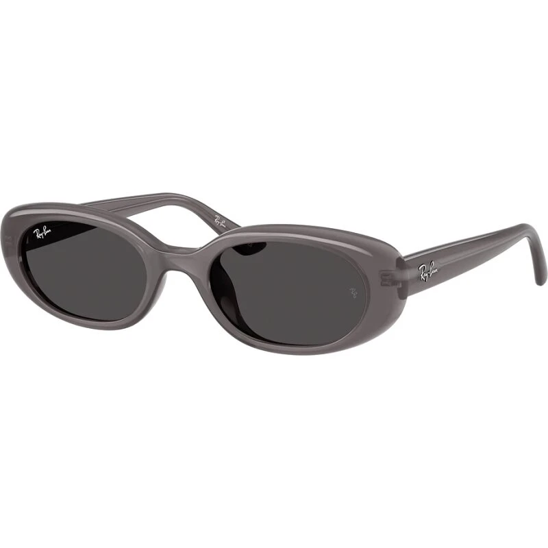 Ray-Ban RB4441D Unisex solbriller – transparent/mørkegrå