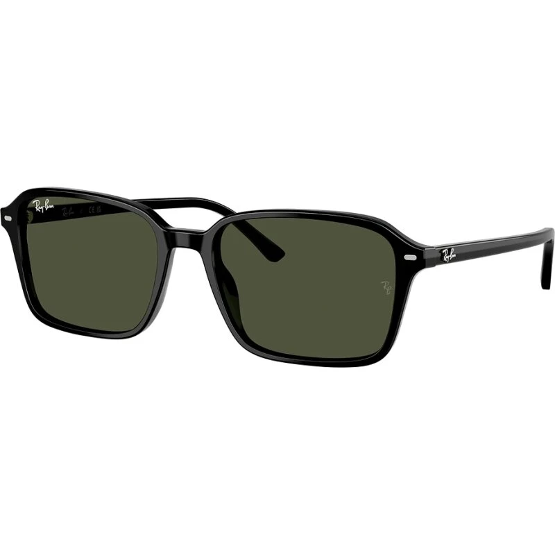 Ray-Ban Raimond RB2231 901/31