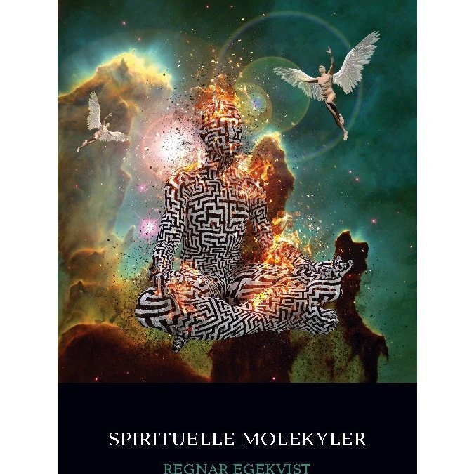 Spirituelle Molekyler af Regnar Egekvist