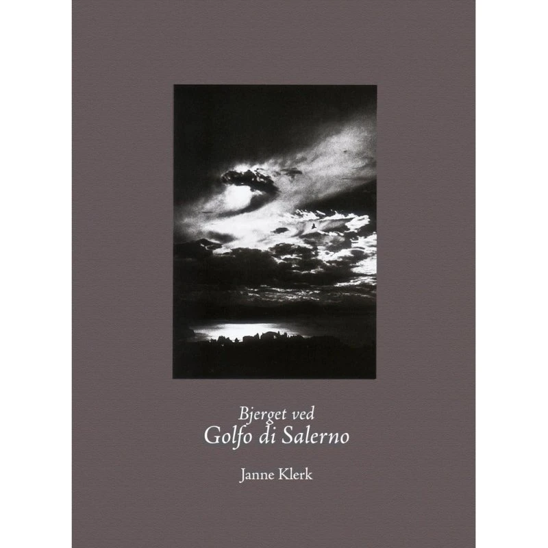 Bjerget ved Golfo di Salerno - Janne Klerk - Kunstbog