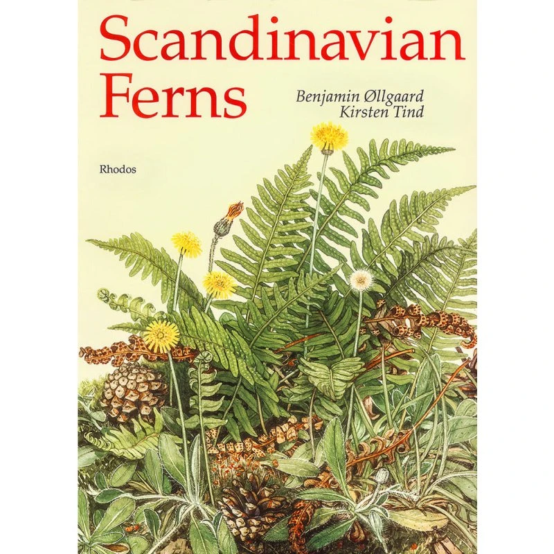 Scandinavian Ferns af Benjamin Øllgaard - Engelsk bog