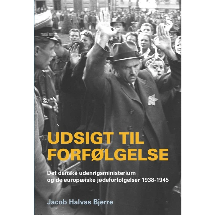 Udsigt til forfølgelse af Jacob Halvas Bjerre - Bog