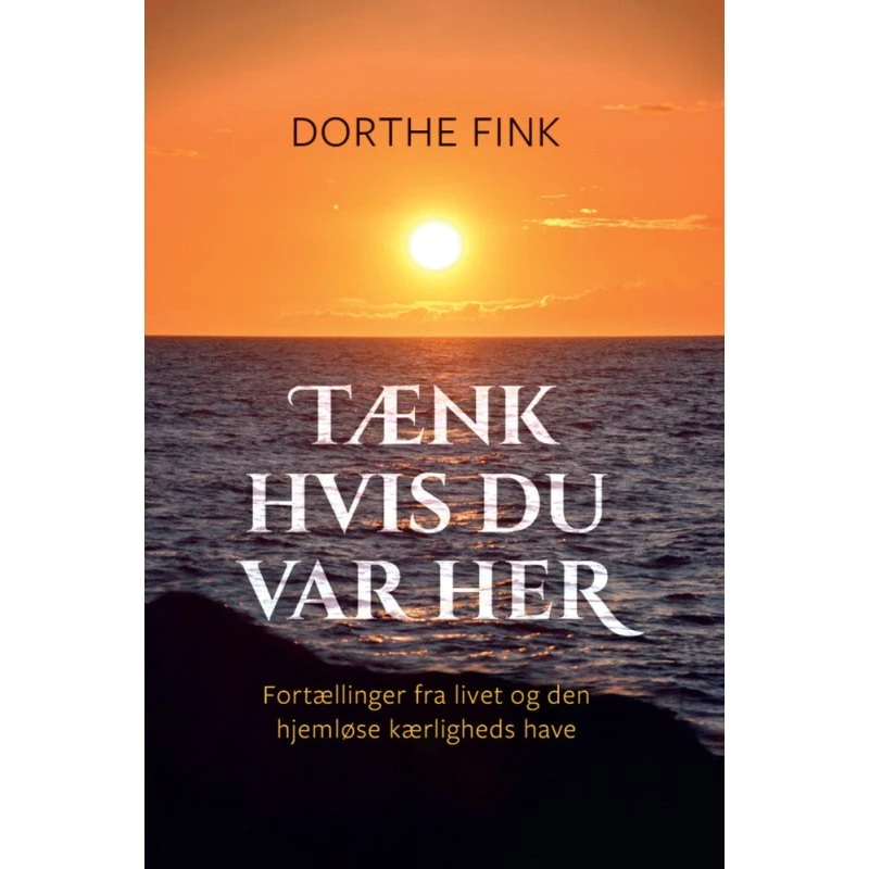 Tænk hvis du var her - Dorthe Fink - Bog
