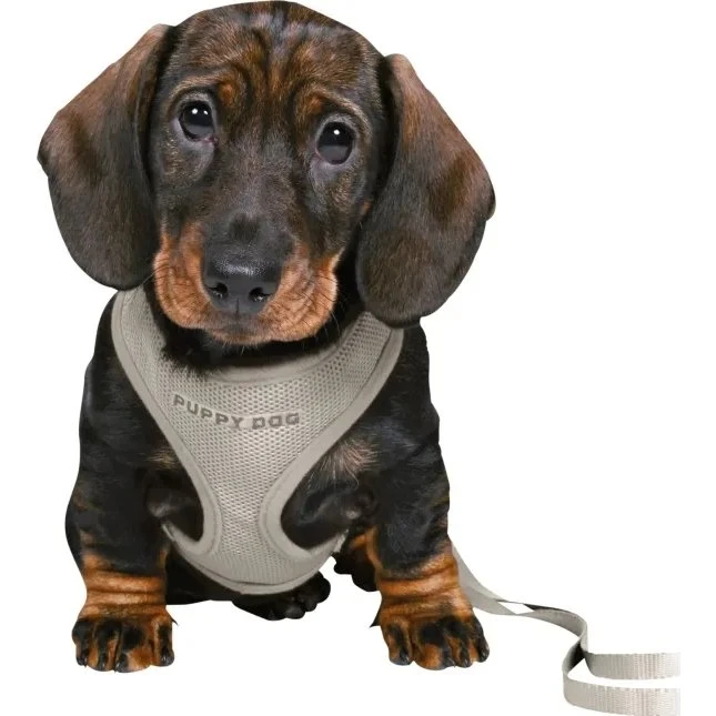 Trixie Junior hundesele M/L, mint, justerbar (2 m)