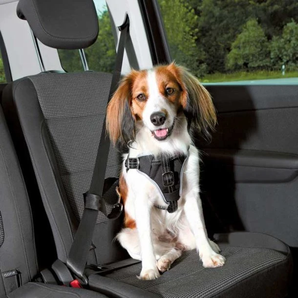 Trixie Comfort sikkerhedssele til bil, sort L