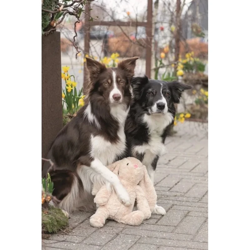 Trixie Hundeplysdyr Kanin 38 cm – til hvalpe