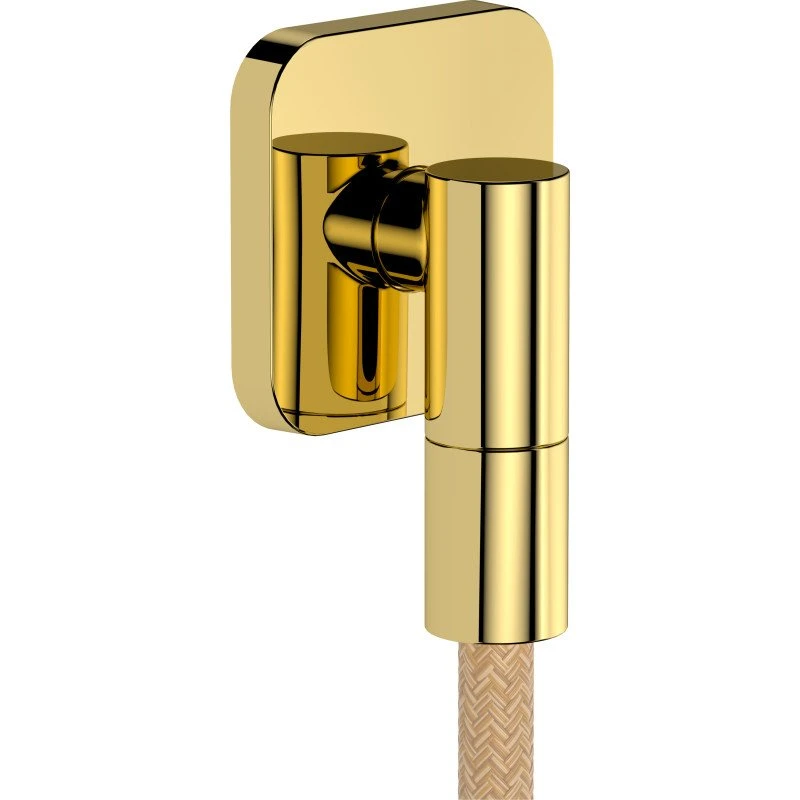 Hansgrohe FixFit Fine Q slangeudtag, poleret guld