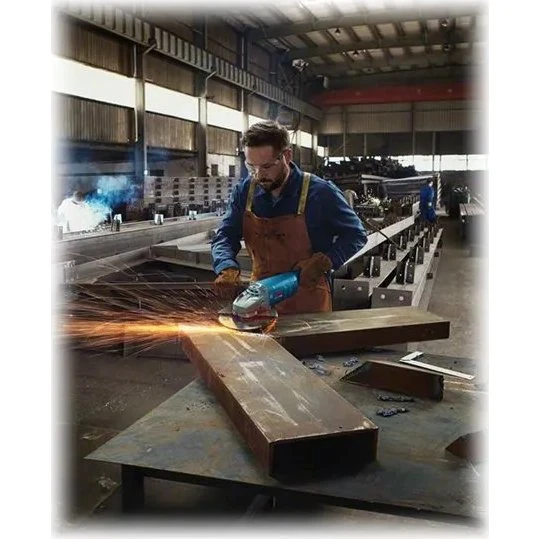 Bosch Professional GWS 22-230 J Vinkelsliber 2200W 230 mm