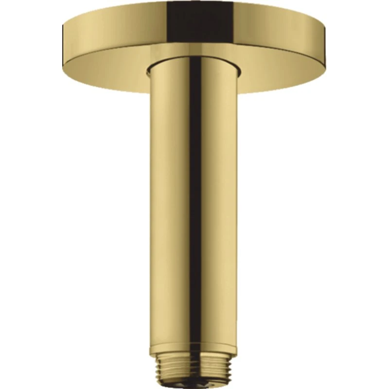 Hansgrohe Brusearm S 100mm - Guld