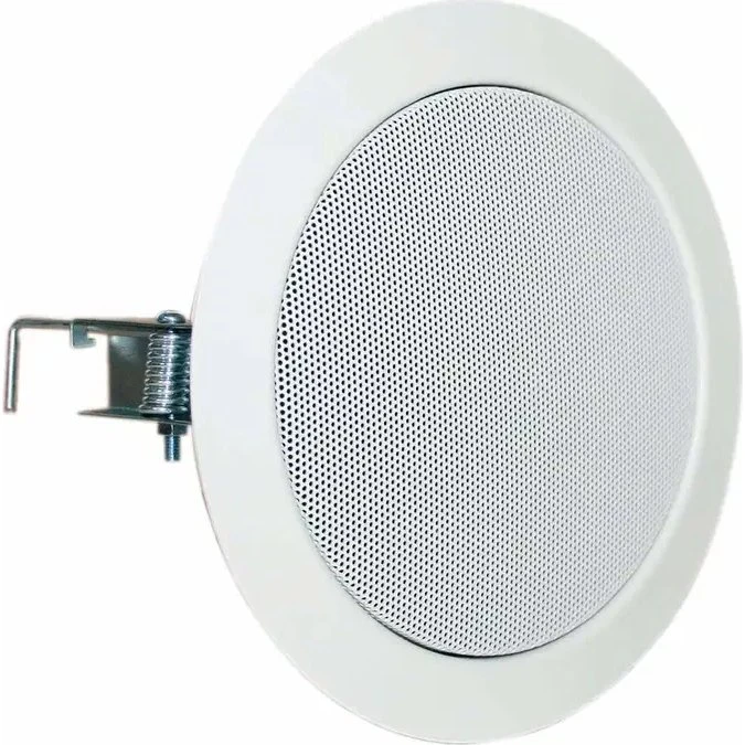 DL 13/2 T - 8 Ohm - 13 cm HiFi-loftshøjttaler