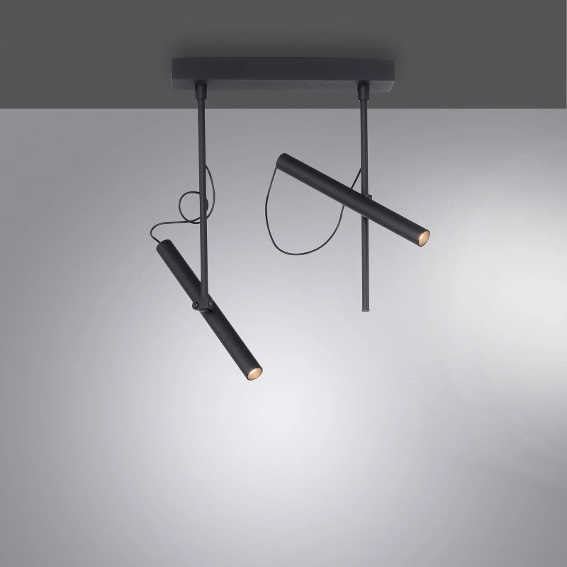 Paul Neuhaus Pure Tutua LED-loftlampe, 2 spots, sort