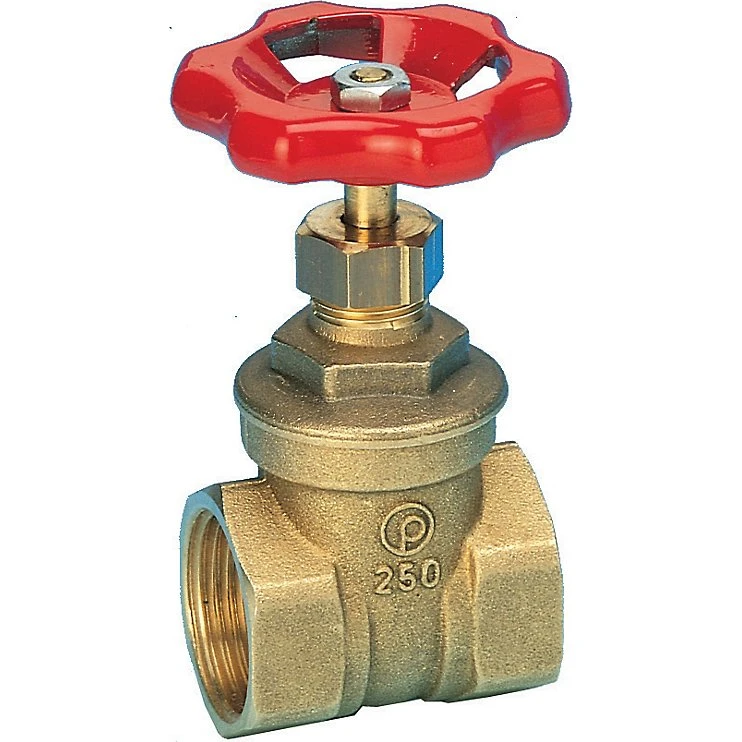 Pettinaroli Skydeventil 2 1/2'' Muffe-muffe i Messing