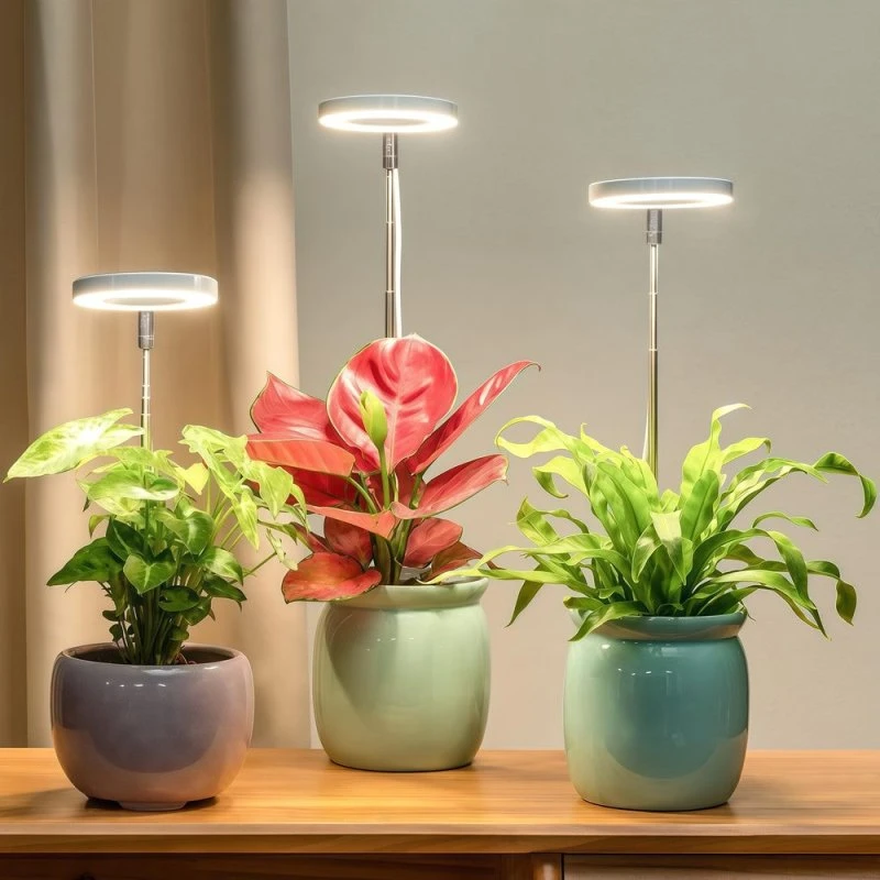 LEDlife LED Plantebelysning med Spyd - 14W, Timer & Dæmpbar