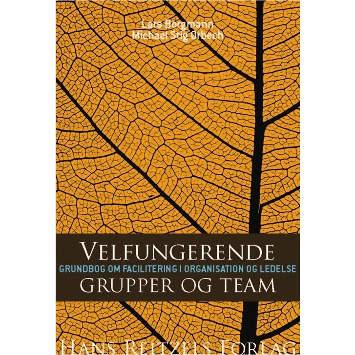 Velfungerende grupper og team - Lars Borgmann & Michael Stig Ørbech
